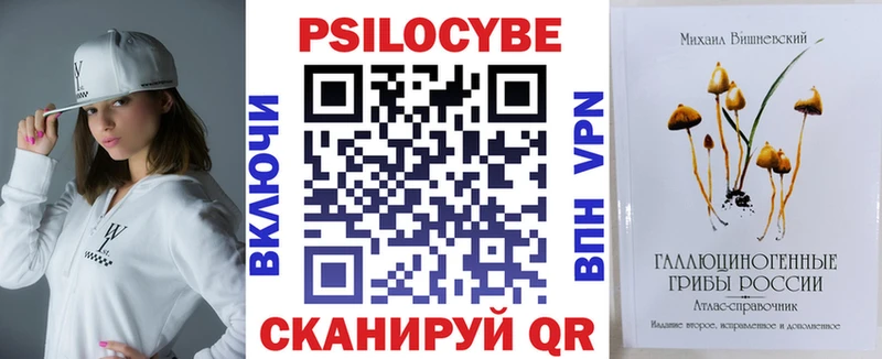 цена наркотик  Долгопрудный  Галлюциногенные грибы мицелий 