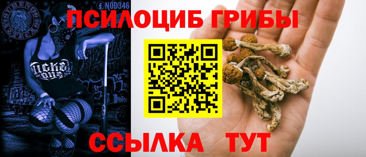 Псилоцибиновые грибы прущие грибы  Вход с VPN  Долгопрудный  Галлюциногенные грибы прущие грибы 
